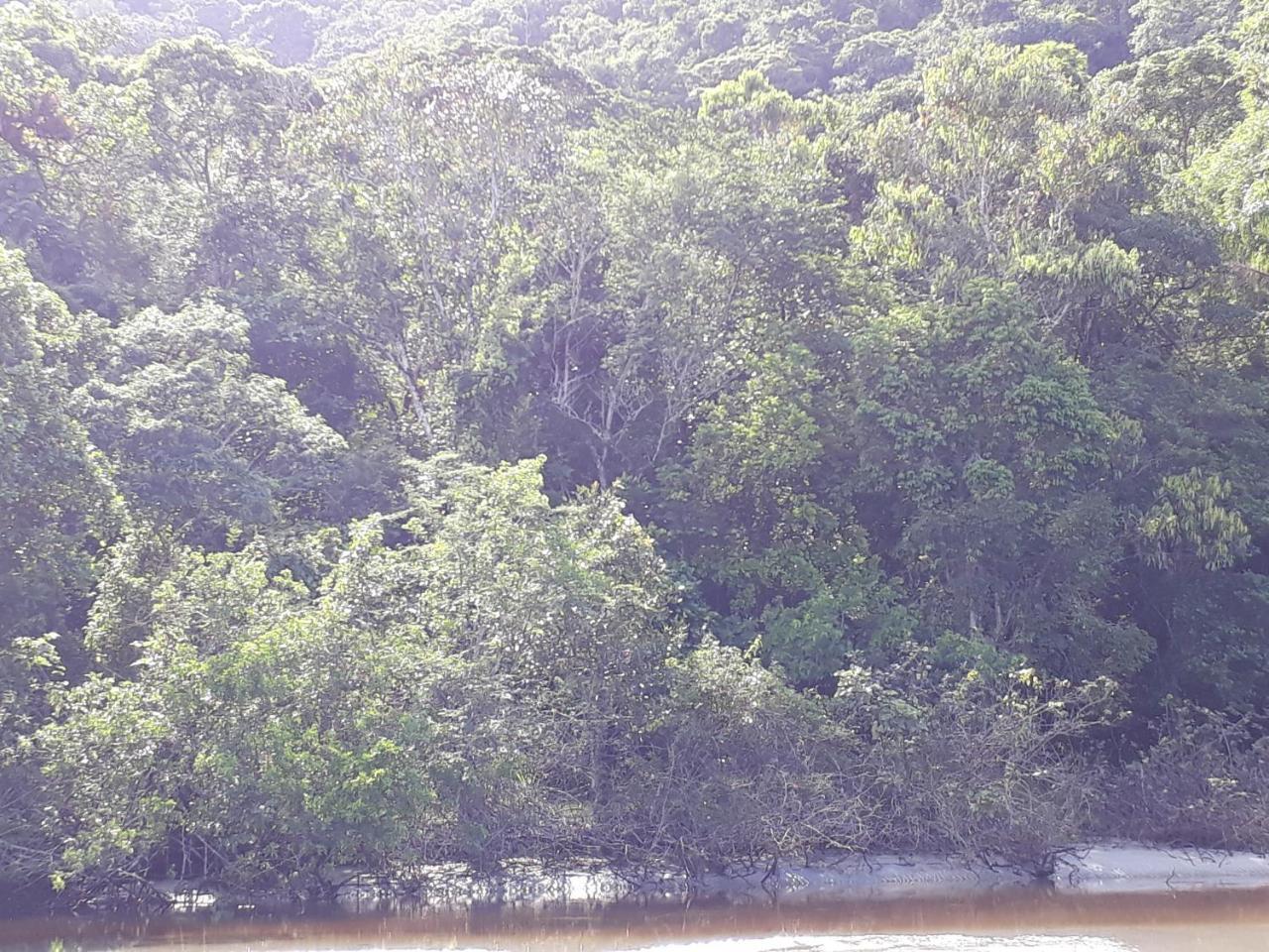 Aconchegante Casa De Temporada Ubatuba